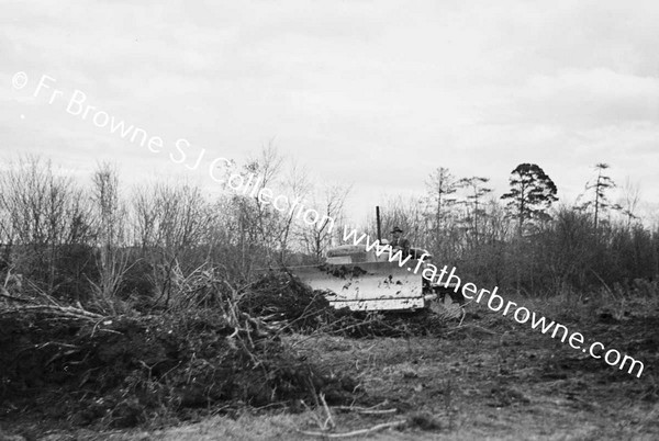 BULLDOZER  CLEARING SCRUB AND TREES